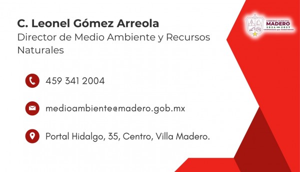 DIRECTOR DE ECOLOGÍA Y M. AMBIENTE