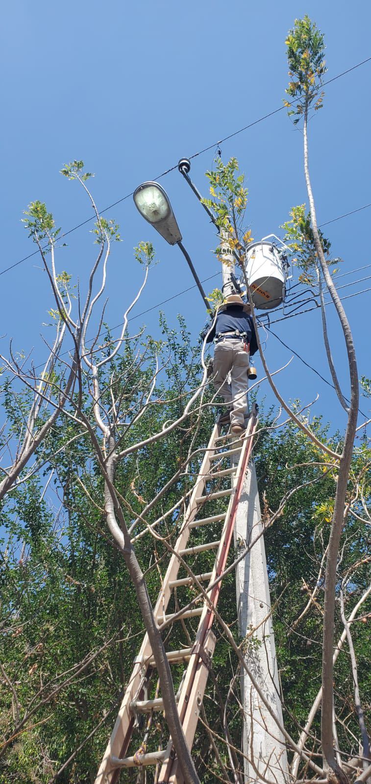 rehabilitación de luminarias en las comunidades de El Rincón de la Erátzicua y Santas Marías