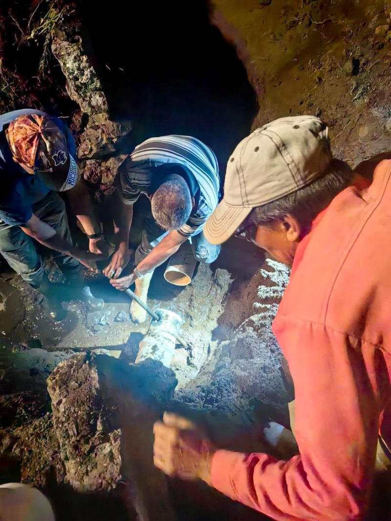 Más acciones, mejores servicios