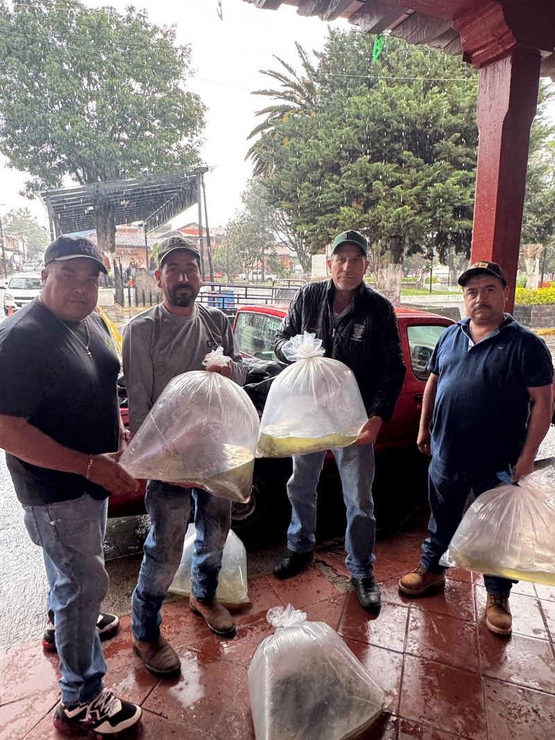 entrega de alevines de tilapia