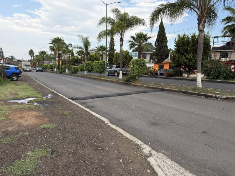colocación de topes sobre la avenida Elías Pérez Ávalos.