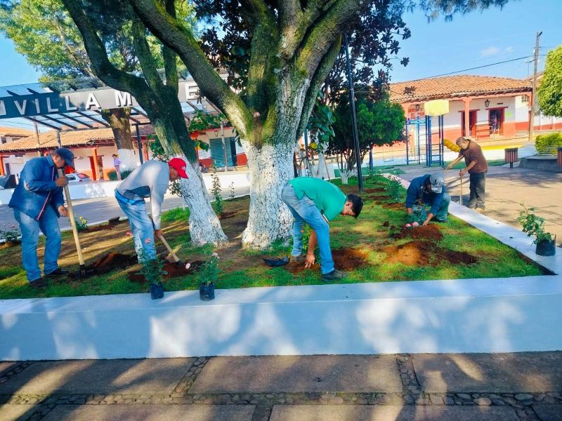 trabajos de jardinería y mantenimiento en la Plaza Principal