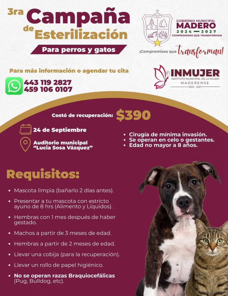 ¡Seguimos trabajando por el bienestar de nuestras mascotas!